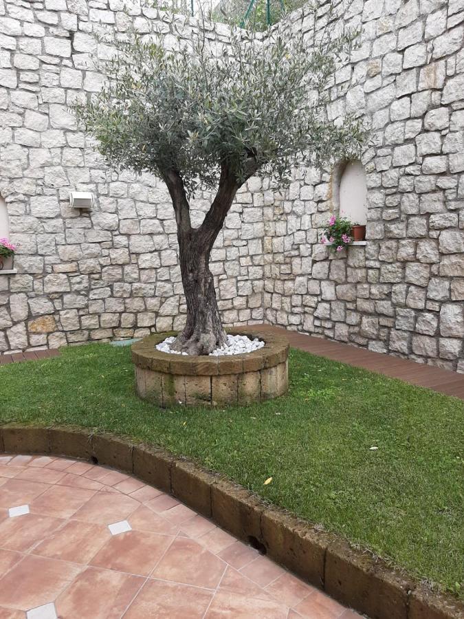 Bmp Apartment Deluxe 1 Jacuzzi Riscaldata Privata Vista Lago Di Garda 布雷佐内加尔达 外观 照片